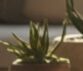 Univehepro